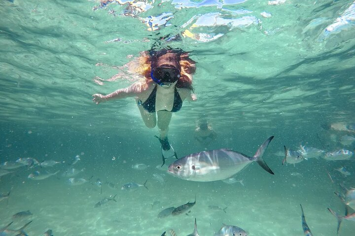 Reef Explorer Half Day Trip - Photo 1 of 7